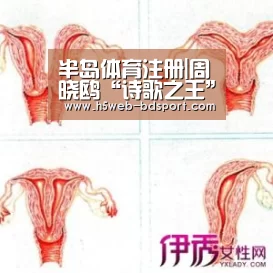半岛体育官网