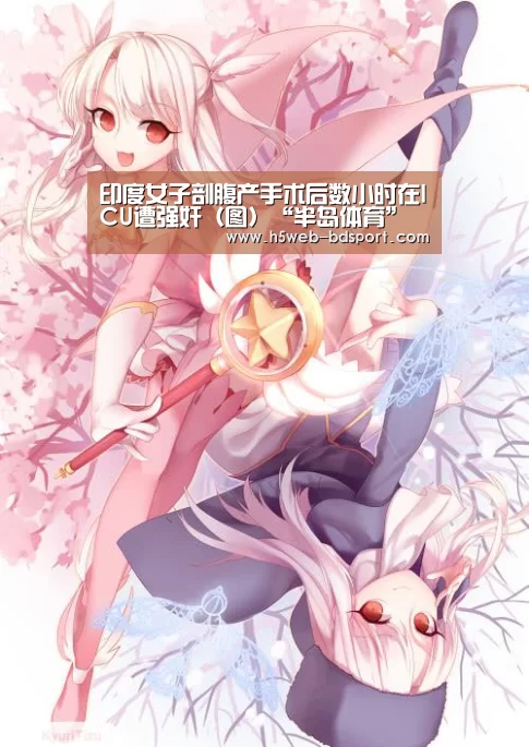 半岛体育网址