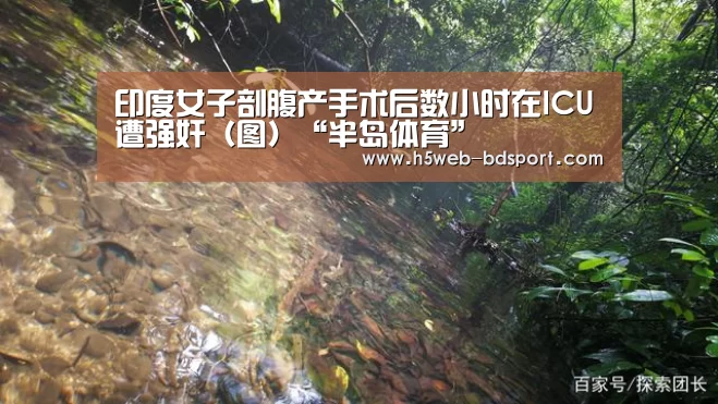 半岛体育APP