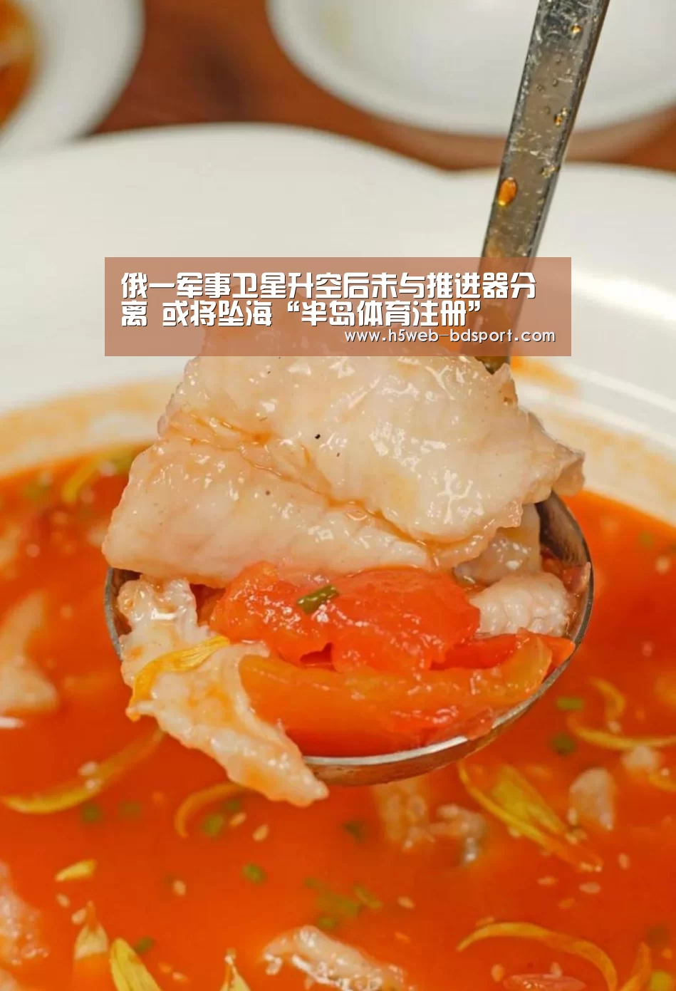 俄一军事卫星升空后未与推进器分离 或将坠海“半岛体育注册”(图1) 半岛体育网址