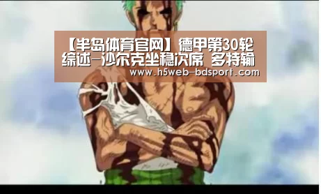 【半岛体育官网】德甲第30轮综述-沙尔克坐稳次席 多特输球跌至第四(图3) 半岛体育APP